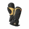 Hestra Army Leather Expedition Mitt -Hestra Black 71083.1508677972