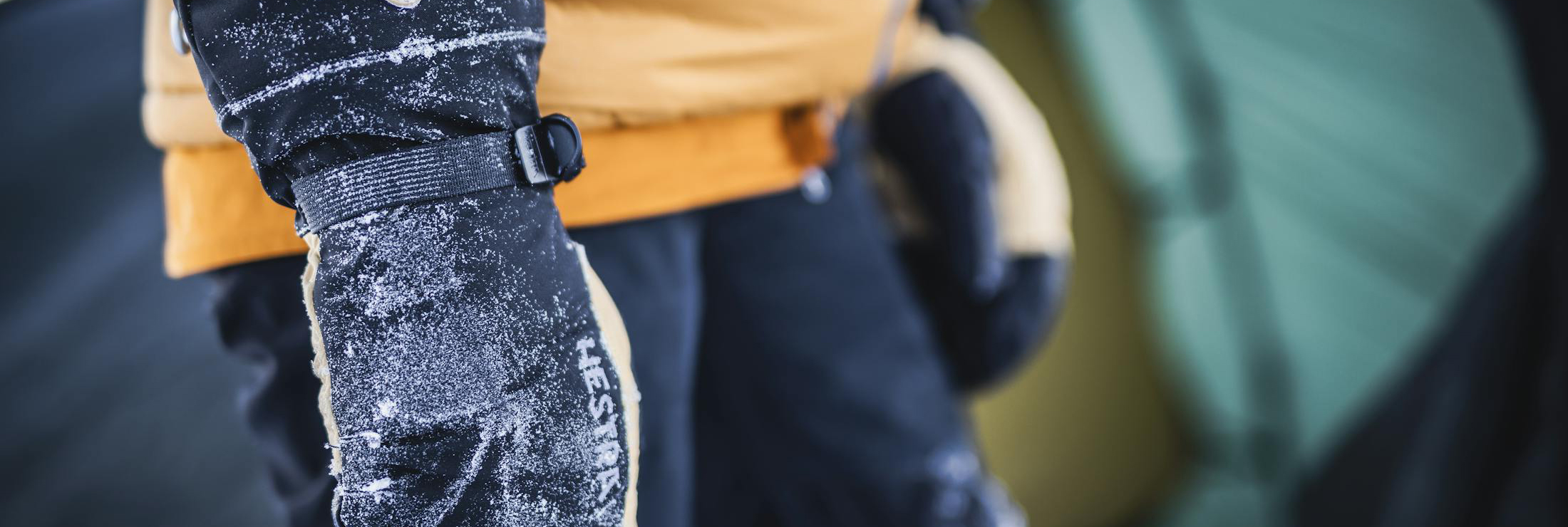 Hestra 2 Hestra -Hestra D5A2192