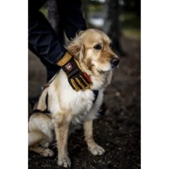 Hestra Ergo Grip Active - 5 Finger Outdoor Gloves - Orange/offwhite -Hestra hestra ergo grip active 5 finger gloves orange offwhite 3 1552976